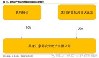 农产品涨价受益标的之象屿股份深度报告 供应链物流服务商强势崛起